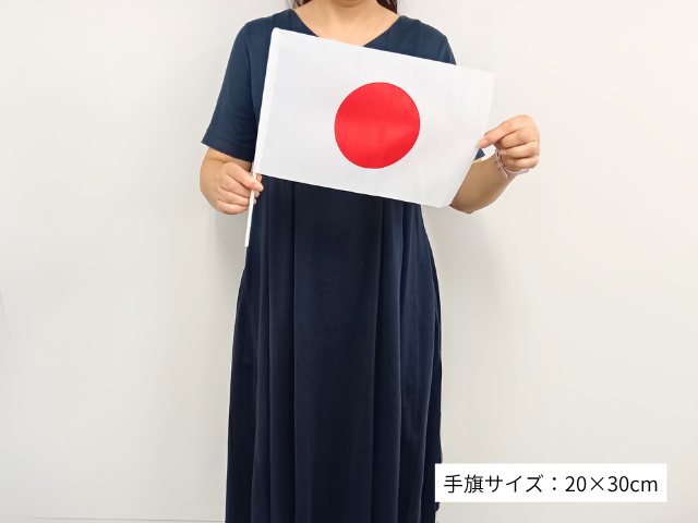 ���{�������20�~30cm