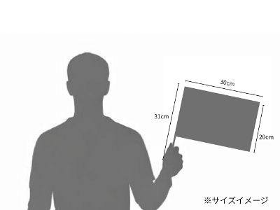 �T�C�Y�C���[�W