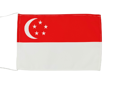 �V���K�|�[������16�~24cm�|���G�X�e��