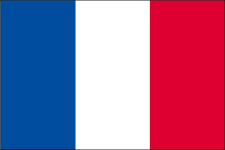 フランス 外国旗 100×150cm トロピカル