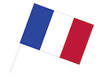 フランス 手旗フラッグ 30×45cm ポンジ