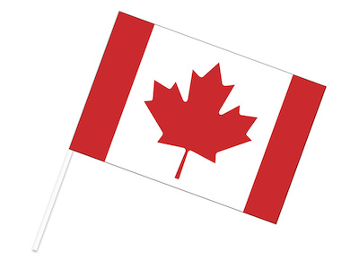 カナダ 手旗フラッグ 30×45cm ポンジ